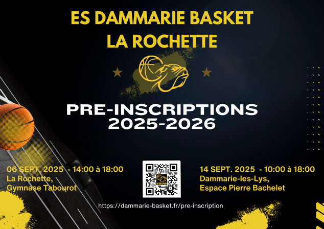 ES Dammarie Basket Flyer (297 x 210 mm)